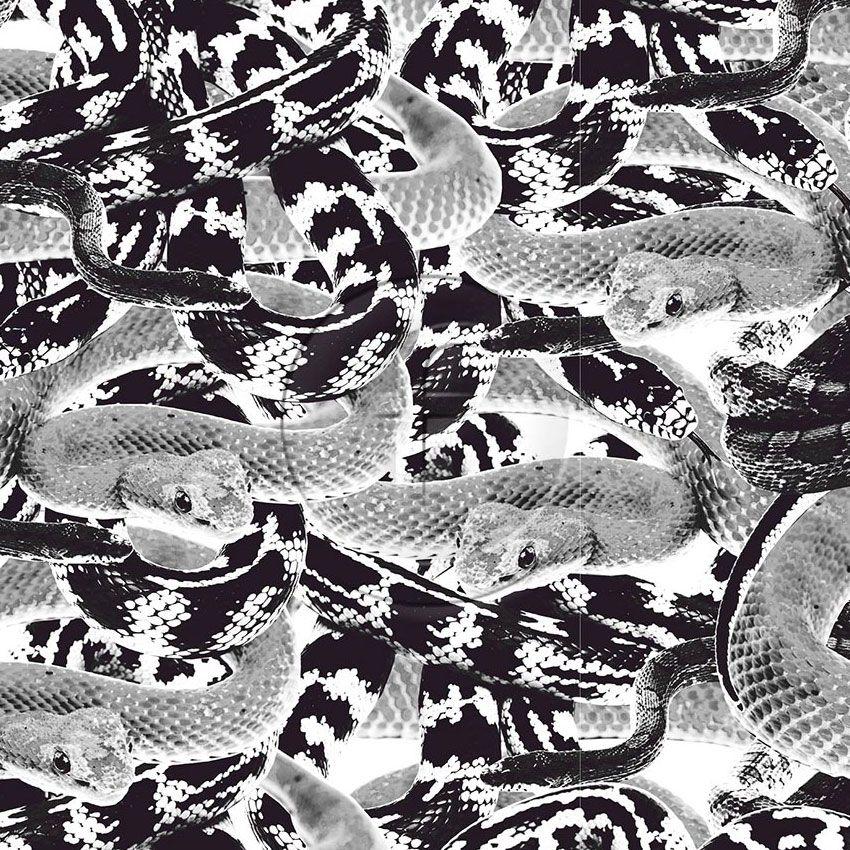 Snake Black White - Printed Fabric