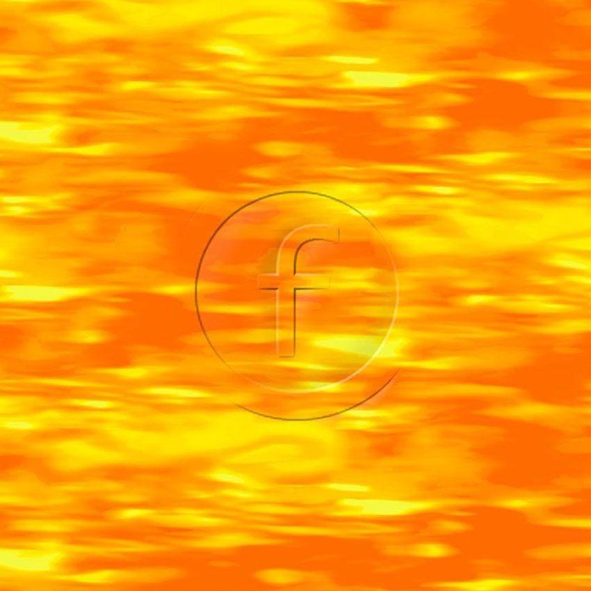 Sunseeker Orange - Printed Fabric