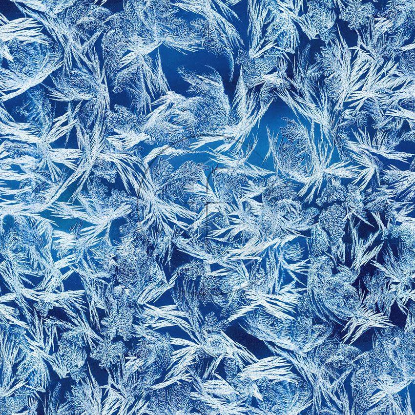 Elsa Blue - Printed Fabric