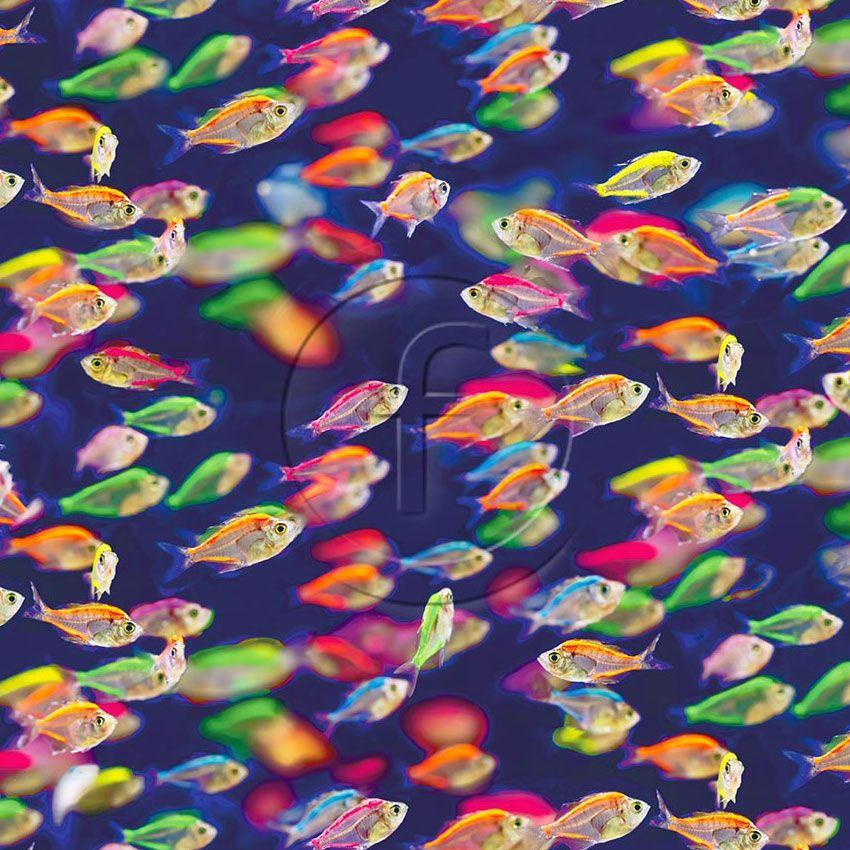 Neon Shark Bait - Printed Fabric
